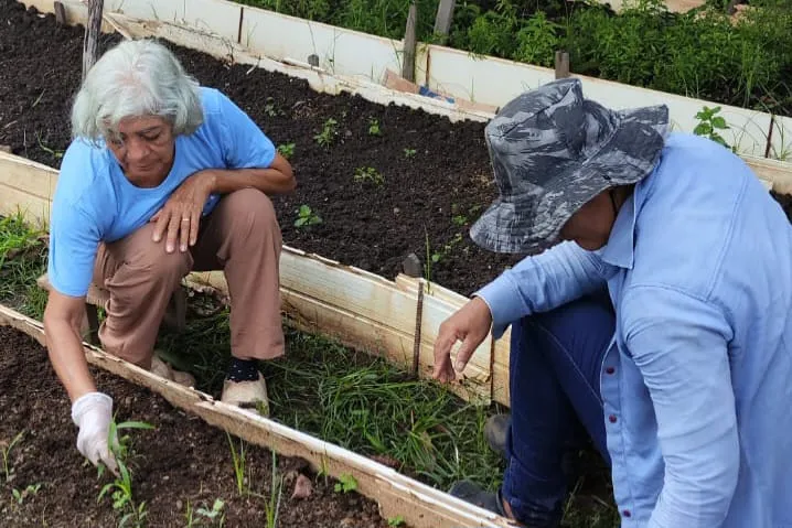 Produtora de horta comunitária é a primeira pessoa a adquirir Cadastro da Agricultura em Palmas