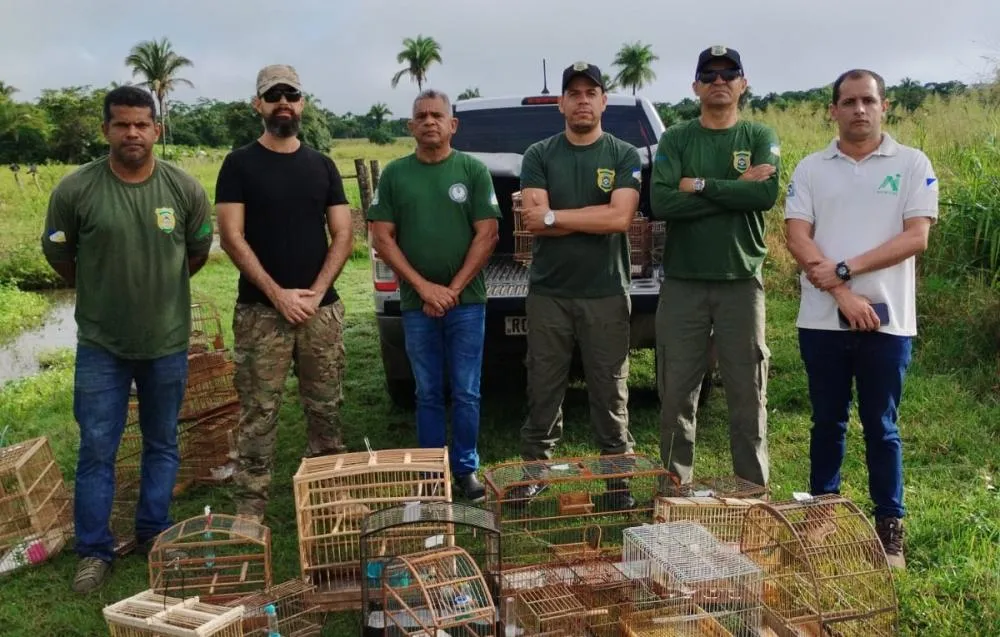 Naturatins realiza Operação Pássaro Livre e apreende 72 aves silvestres no Tocantins