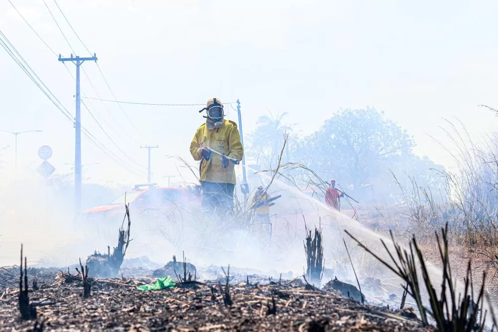 Operação Tocantins Mais Verde terá encerramento nesta quarta