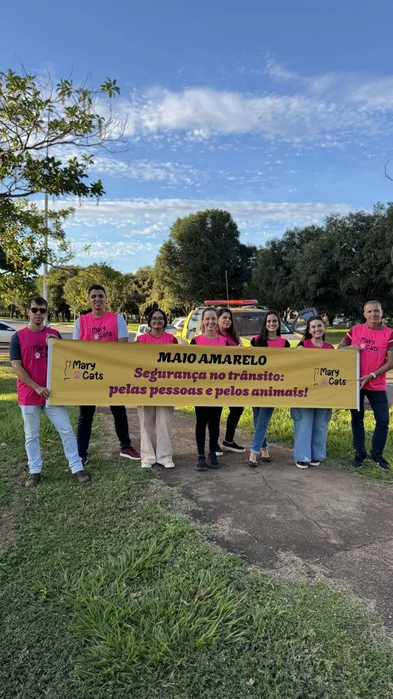 Vereadora MaryCats da Causa Animal faz blitz educativa pelo Maio Amarelo