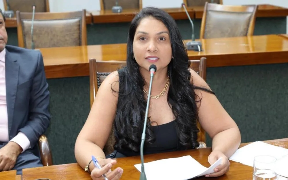 Deputada Vanda Monteiro propõe programa de assistência às vítimas de violência