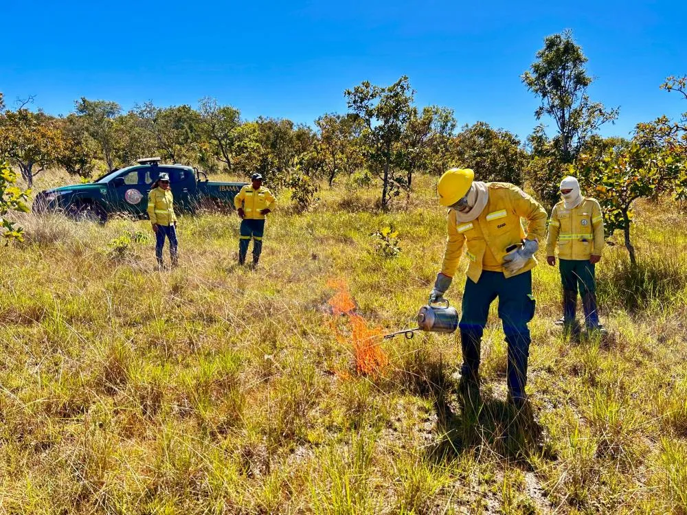 Brigada Gavião Fumaça do Naturatins aprimora práticas de Manejo Integrado do Fogo