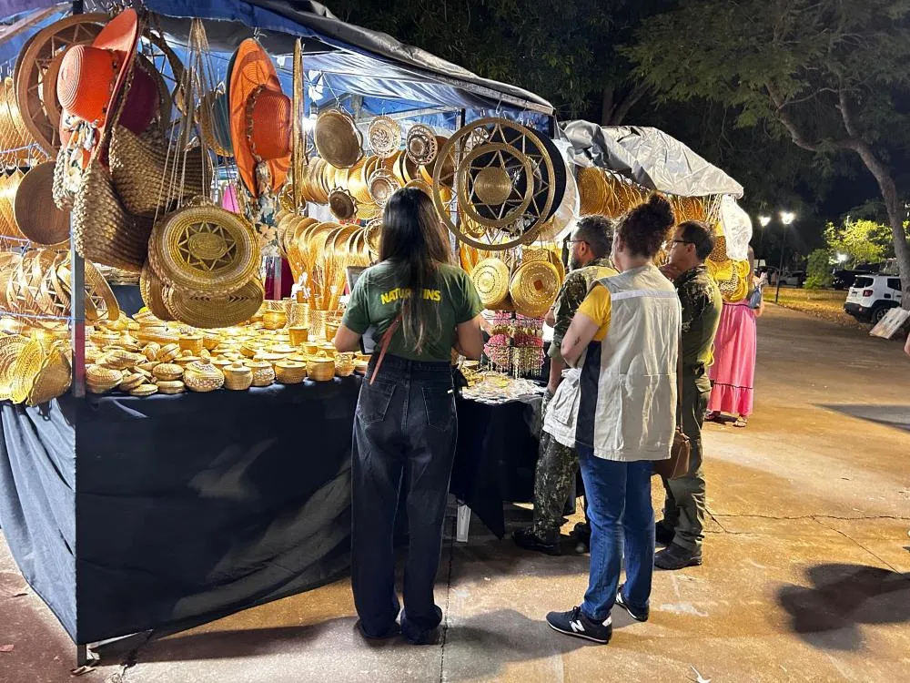  Naturatins orienta artesãos sobre comercialização do capim-dourado in natura