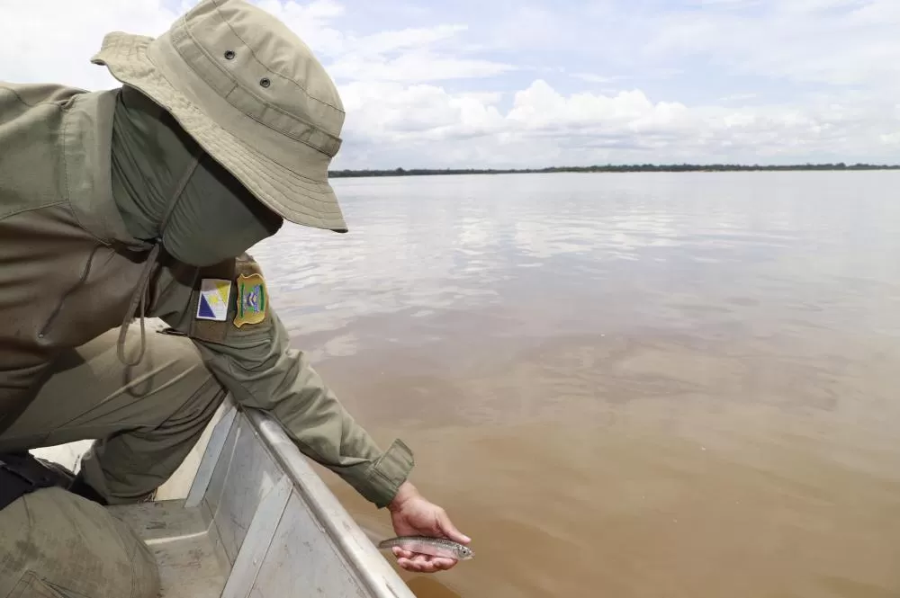 Governo do Tocantins anuncia período da Piracema a partir de sexta-feira dia 1º