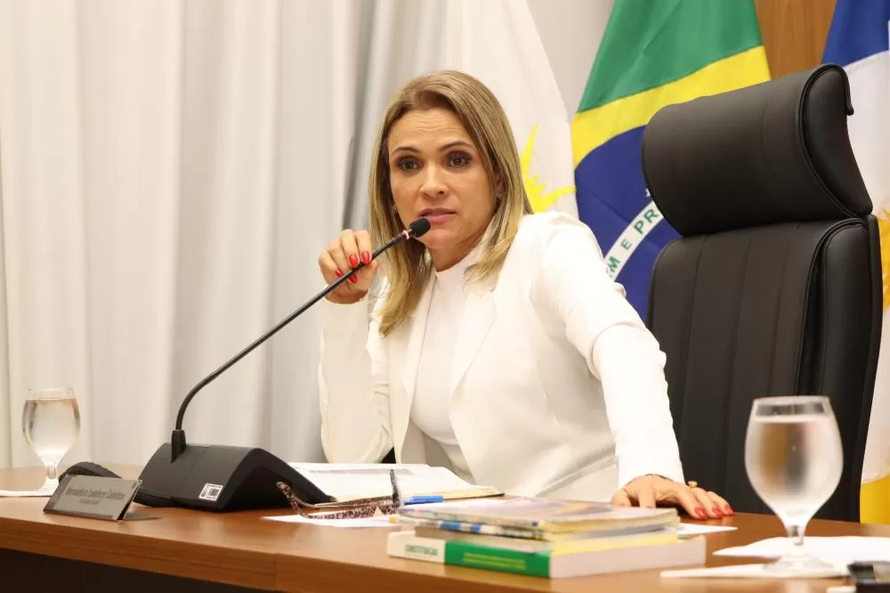 Praça do Setor Maria Rosa é alvo de requerimento da vereadora Laudecy Coimbra