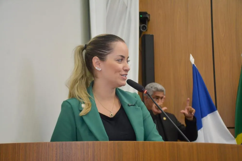 Vereadora MaryCats solicita à SEBEM aquisição de gatoeiras para apoiar protetores independentes em resgates de animais