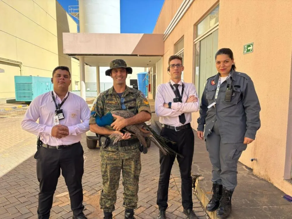 Guarda Metropolitana de Palmas resgata pavão em shopping da Capital