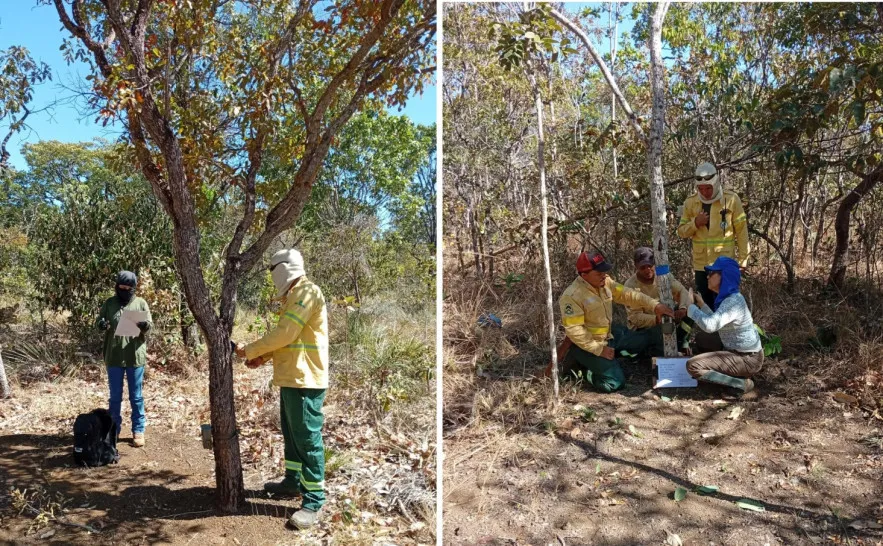 Naturatins conclui instalações de câmeras do Programa Monitora no Parque Estadual do Lajeado