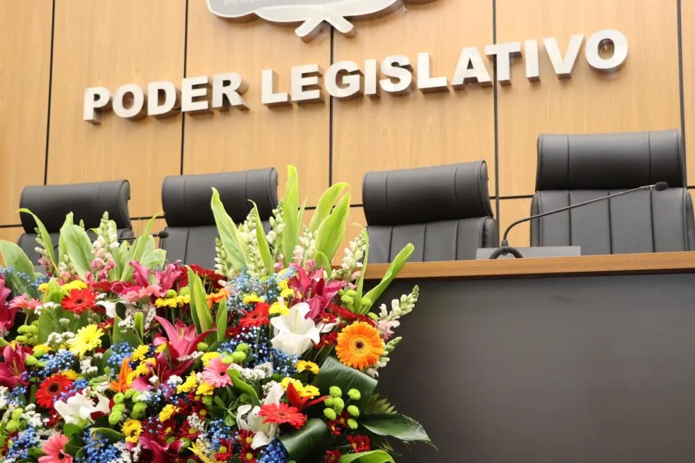 Câmara Municipal de Palmas retoma atividades na terça-feira, 5 de agosto