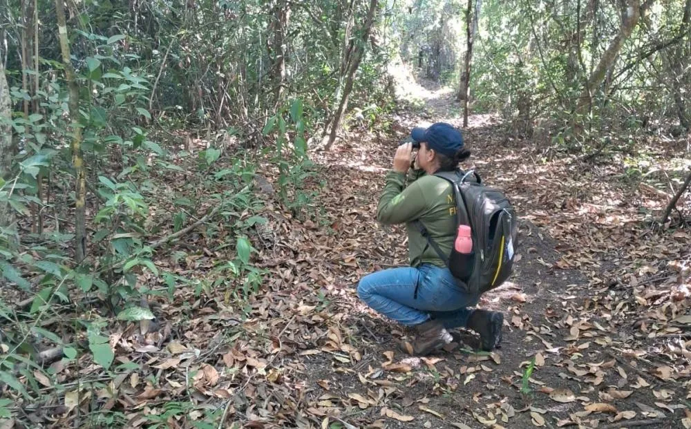 Naturatins realiza implantação do Programa Monitora no Parque Estadual do Cantão