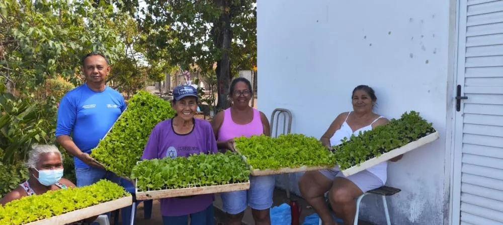 Prefeitura de Palmas distribui quatro mil mudas de alface às hortas comunitárias da região norte