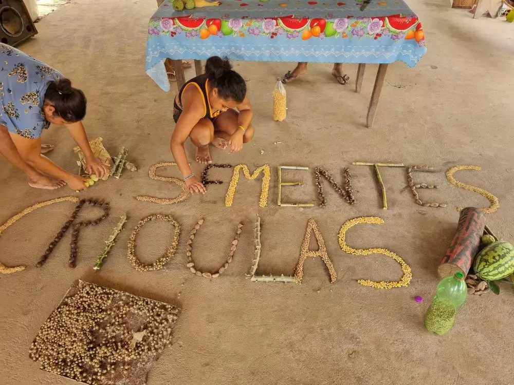 Cooperativa tocantinense é destaque no Prêmio Periferia Viva 2024 na revitalização cultural e ambiental