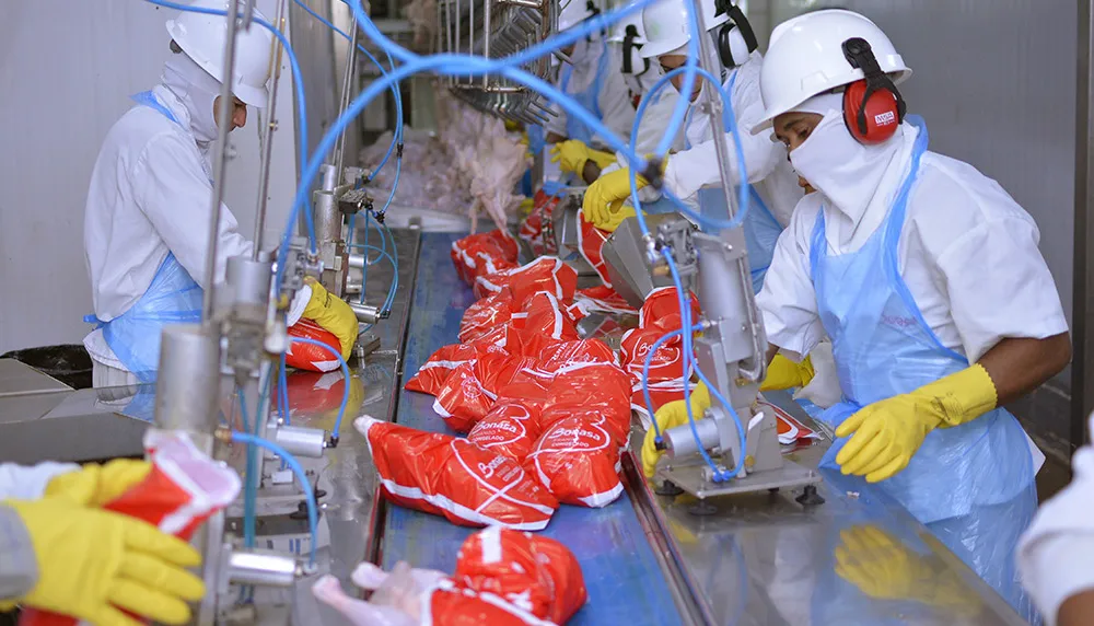 Tocantins registra a segunda menor taxa de desocupação da Região Norte