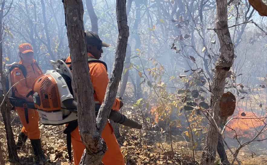 Bombeiros e brigadistas atuam em controle de queimadas em Paranã