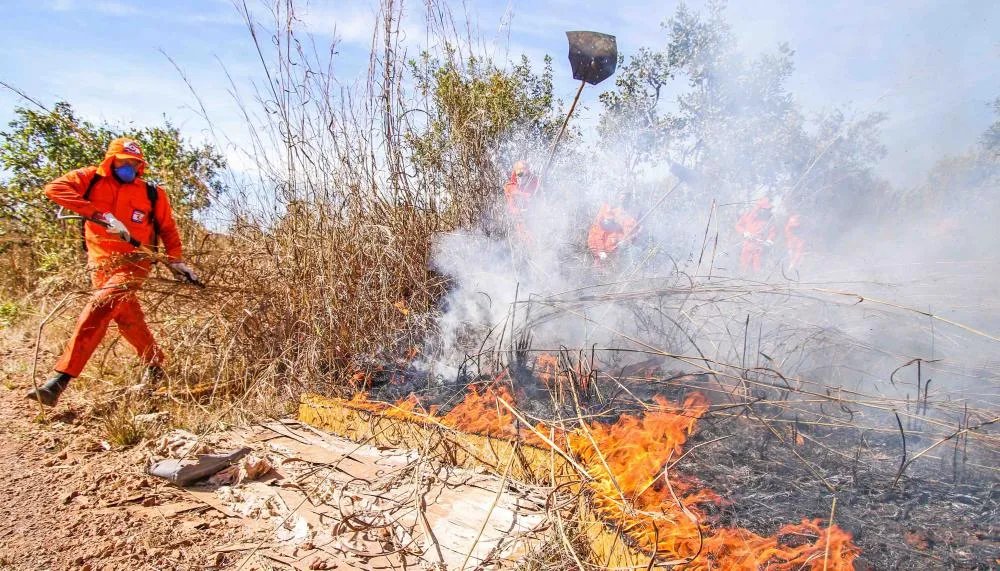 Tocantins participa de simulado nacional do sistema “Defesa Civil Alerta” neste sábado, 13