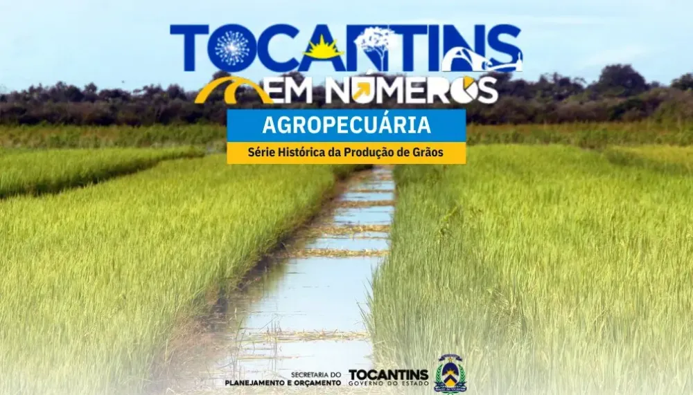 Tocantins registra safra recorde de grãos com 9,17 milhões de toneladas