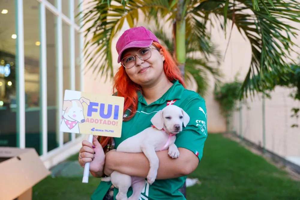 Palmas promove evento de adoção neste sábado, 20, no Capim Dourado Shopping