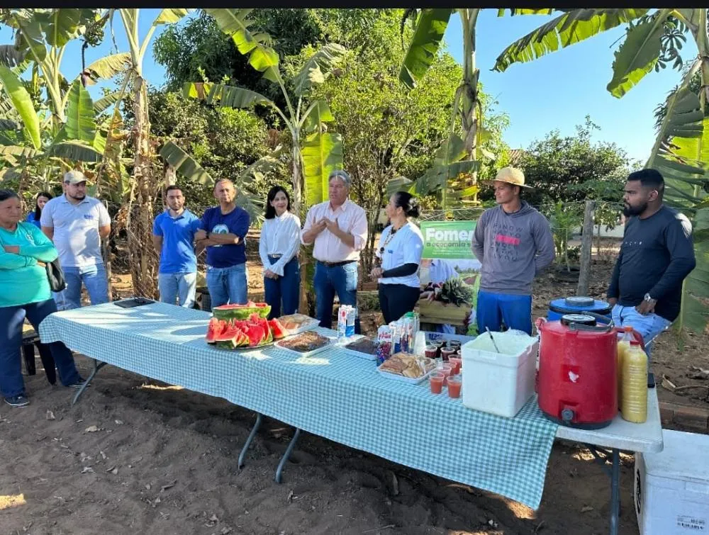 Prefeitura de Palmas realiza oficina para produtores de hortas comunitárias