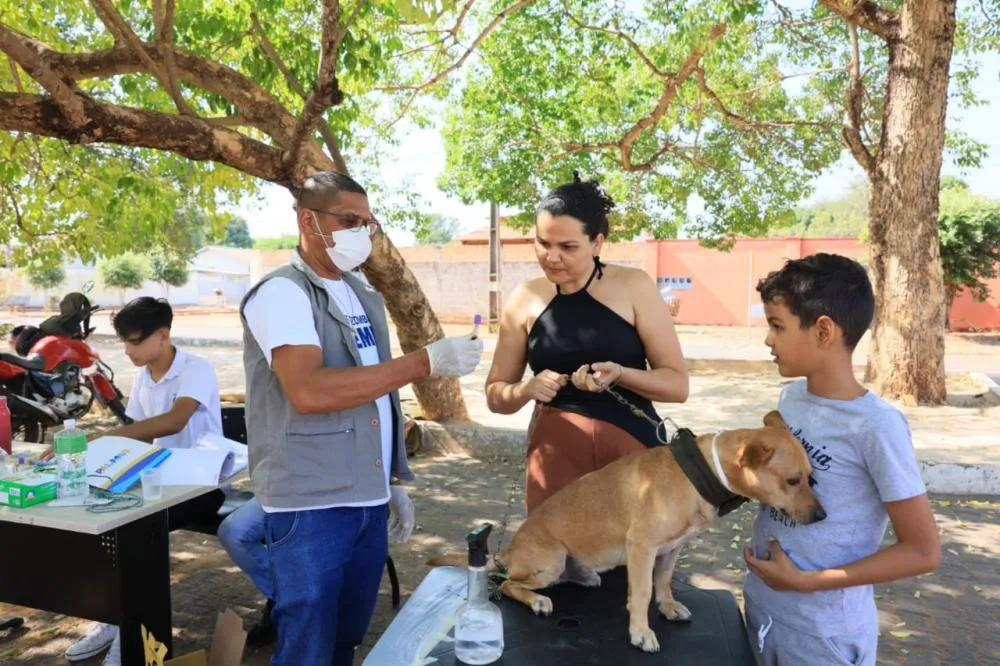Aureny III recebe ação de encoleiramento e testagem contra leishmaniose visceral em cães