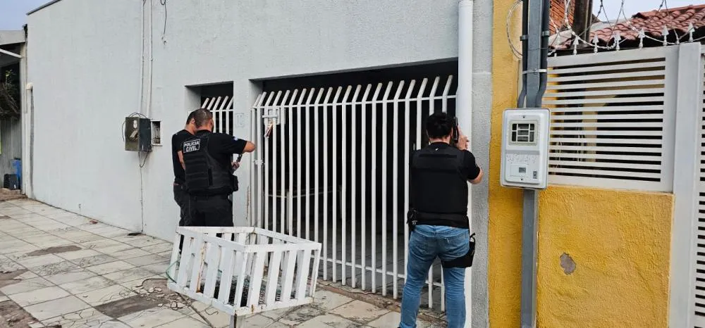 Polícia Civil do Tocantins deflagra operação contra associação criminosa especializada em estelionato contra compradores de veículos