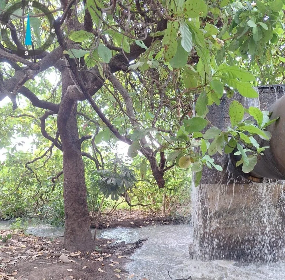 Agência de Regulação de Palmas multa novamente BRK em quase R$ 1,8 milhão por extravasamento de esgoto