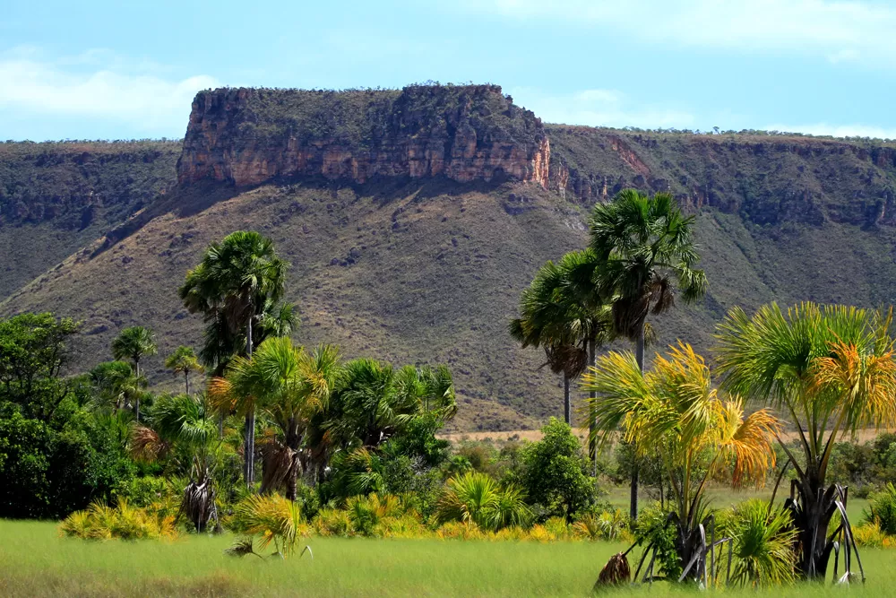 Tocantins: 2º Boletim de Desmatamento registra 85% de redução em outubro