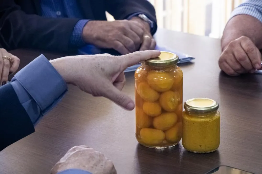 Tocantins planeja implementação do Projeto Rota do Pequi para fortalecer inclusão produtiva e geração de renda