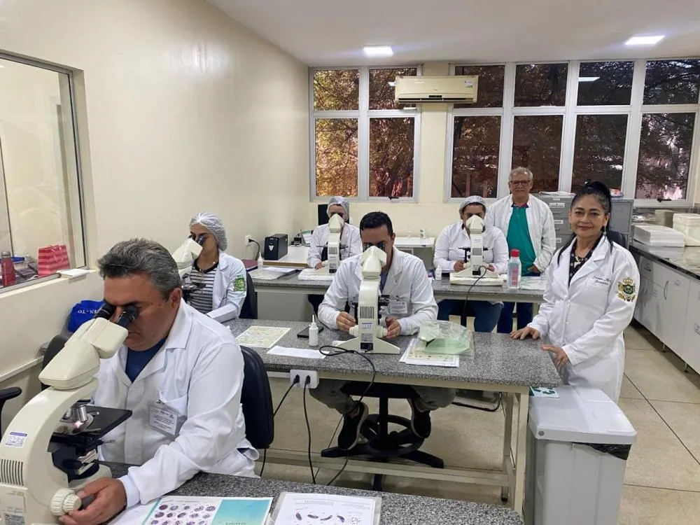 Todos os 139 municípios participaram do programa e mais de 80% municípios alcançaram 90% das metas pactuadas