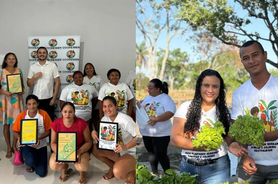 Cultura e Meio Ambiente: iniciativas tocantinenses mostram como tradição e preservação caminham juntas