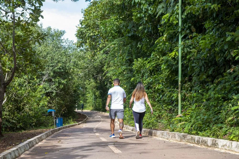 Parque Cesamar fecha de segunda, 8, a quarta, 10, para finalização da decoração natalina