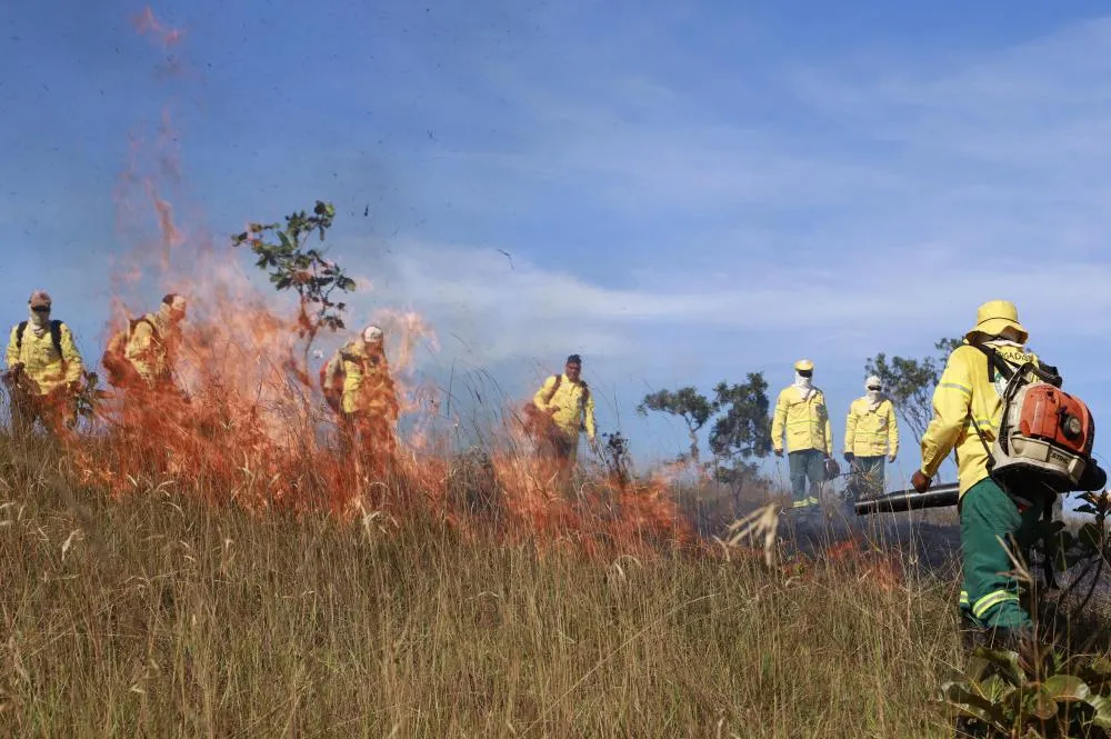 Naturatins registra queda de mais de 30% em área afetada por incêndios nas Unidades de Conservação em 2025