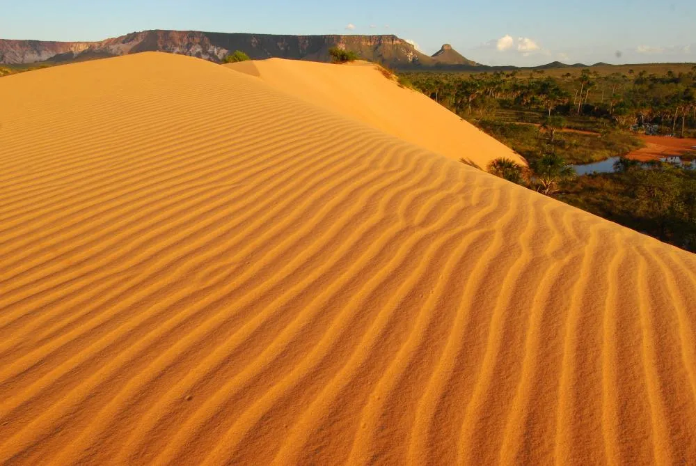 O Jalapão se destaca tanto por suas paisagens deslumbrantes quanto pela riqueza de biodiversidade, atraindo turistas e pesquisadores - Washington Luiz/Governo do Tocantins