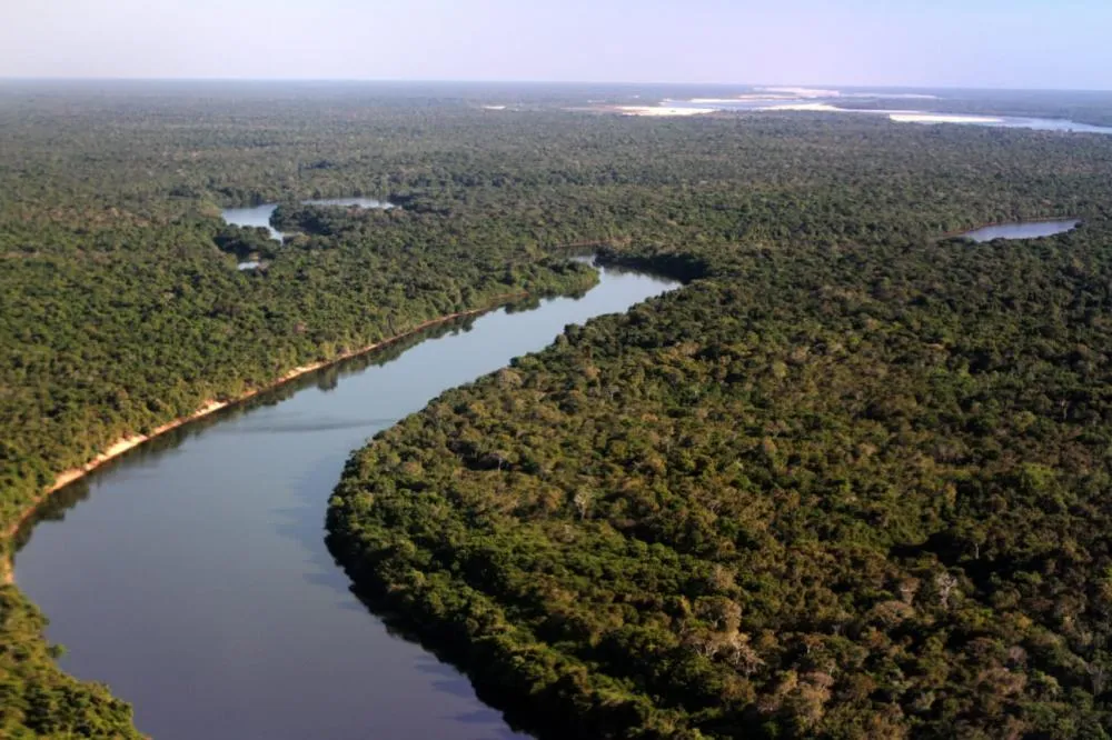 Tocantins registra queda de 2 .000% no número de focos de queimadas no Parque Estadual do Cantão em 2025