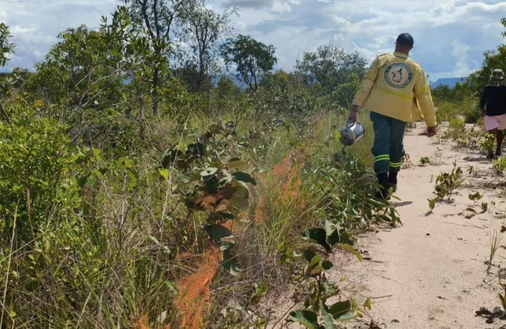 Naturatins inicia novo ciclo de ações do Manejo Integrado do Fogo no Parque e na APA do Jalapão