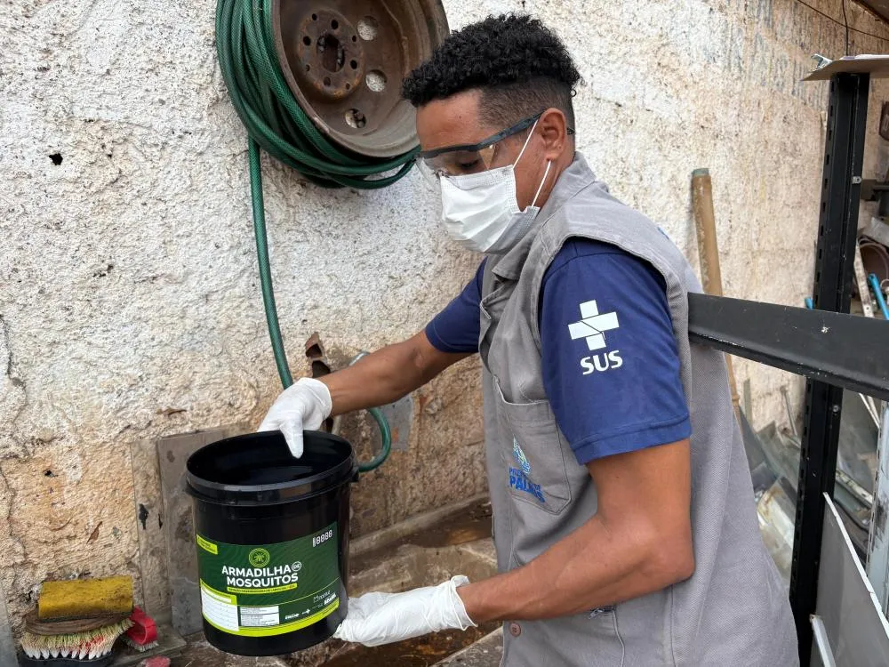 Estratégia adotada pela Semus faz com que mosquito contaminado espalhe larvicida por criadouros. Foto: Gabriela Letrari