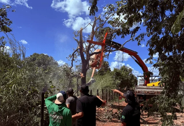 Helicóptero de Henrique e Juliano realiza pouso de emergência no Tocantins