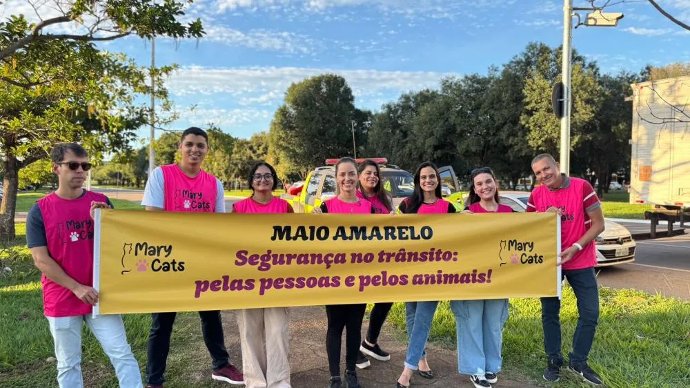 Vereadora MaryCats da Causa Animal realiza blitz educativa do Maio Amarelo no dia 13 de maio