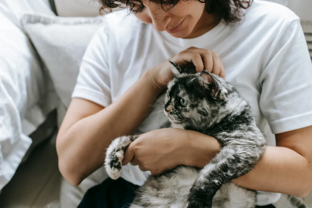 Vereadora MaryCats da Causa Animal propõe criação do Dia da Mulher Protetora dos Animais em Palmas 