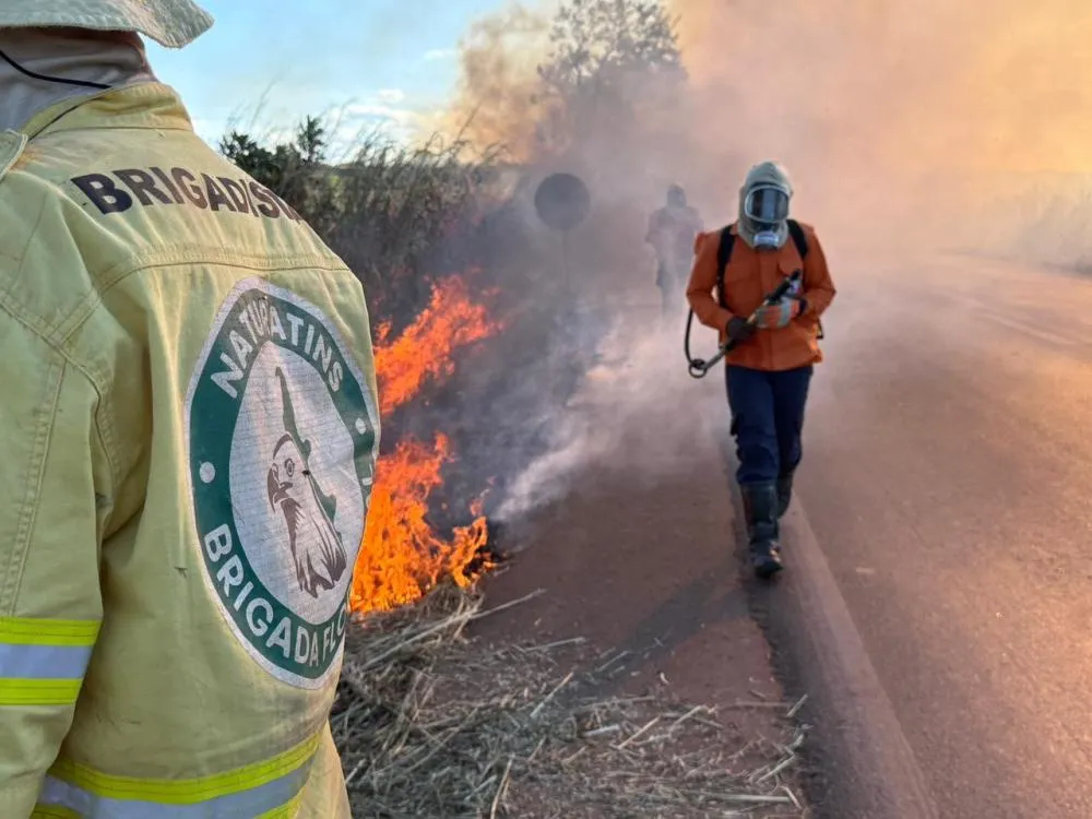 Capacitação prática sobre queima prescrita reúne brigadistas do Naturatins e agentes da Defesa Civil em Luzimangues. Foto: Divulgação Defesa Civil