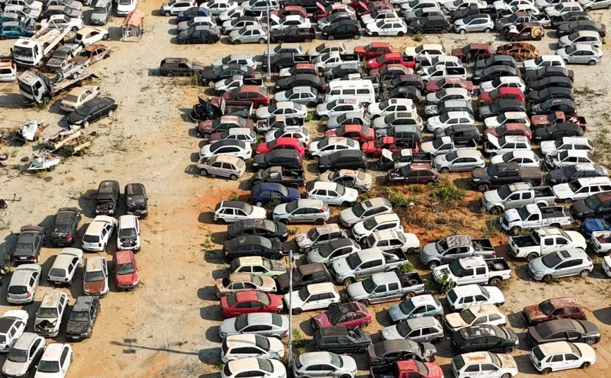 O evento acontece na modalidade on-line, a partir das 9h, com transmissão das arrematações em tempo real pelo site da Sancar - Foto: Félix Carneiro/Governo do Tocantins