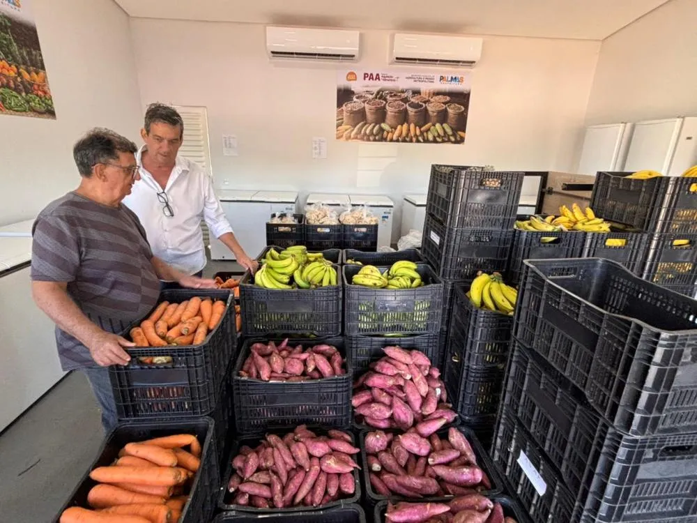 Prefeitura de Palmas distribuirá mais 460 cestas pelo Programa de Aquisição de Alimentos