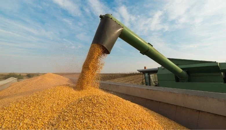 Estado do Tocantins deve ter o maior crescimento econômico do Brasil em 2026, aponta projeção de banco