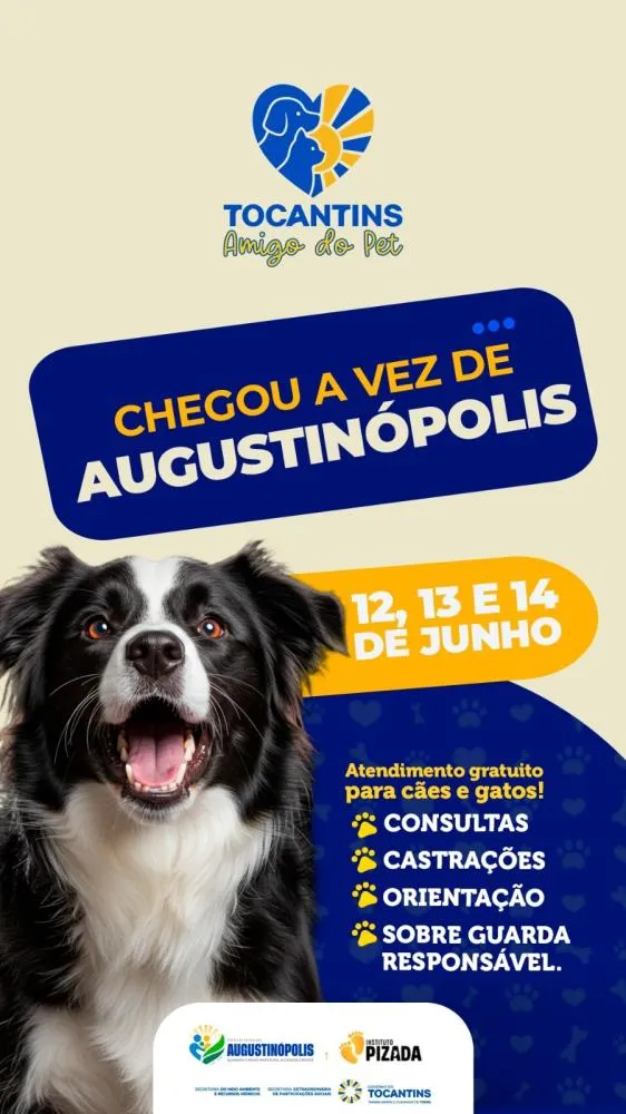 Projeto Amigo Pet transforma a realidade de Augustinópolis com atendimento veterinário gratuito e ações de bem-estar animal