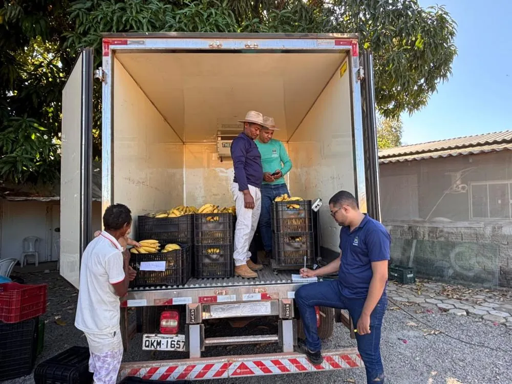 Mais de 15 toneladas de alimentos já foram distribuídas em Palmas por meio do PAA. Foto: Aldenes Lima