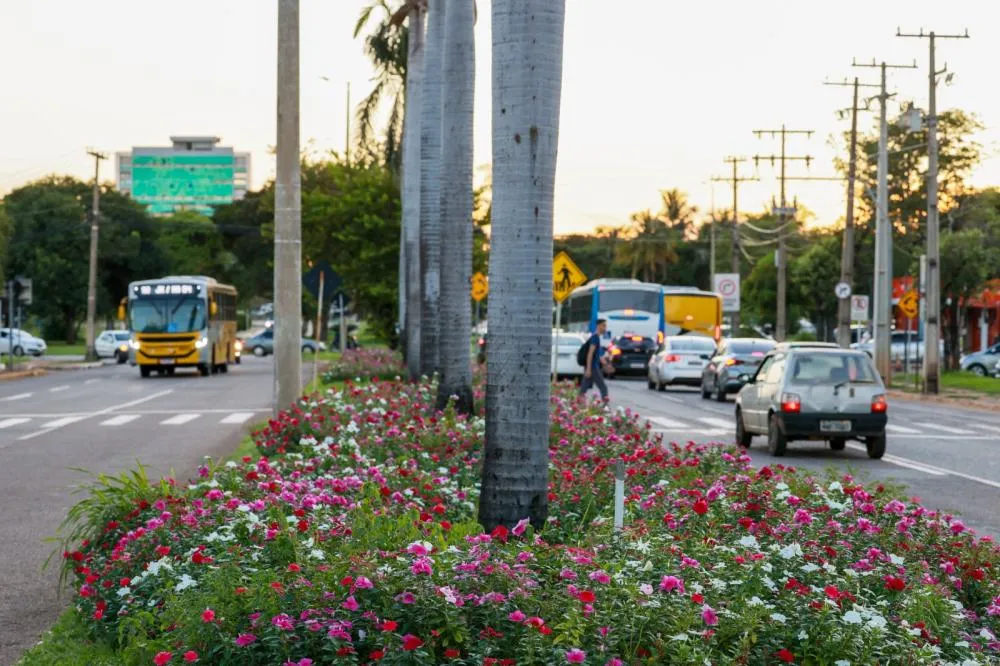 Palmas está entre as cidades que mais geram empregos em logística, inovação e construção civil no Brasil