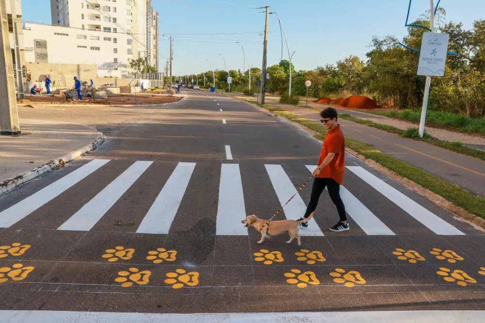 Cães e gatos devem ter acesso à água limpa e fresca durante todo o dia, especialmente no período de estiagem em Palmas. Foto: Lia Mara