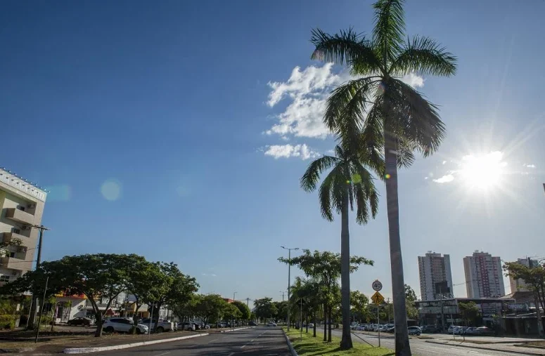 Foto: Lia Mara/Secom Palmas