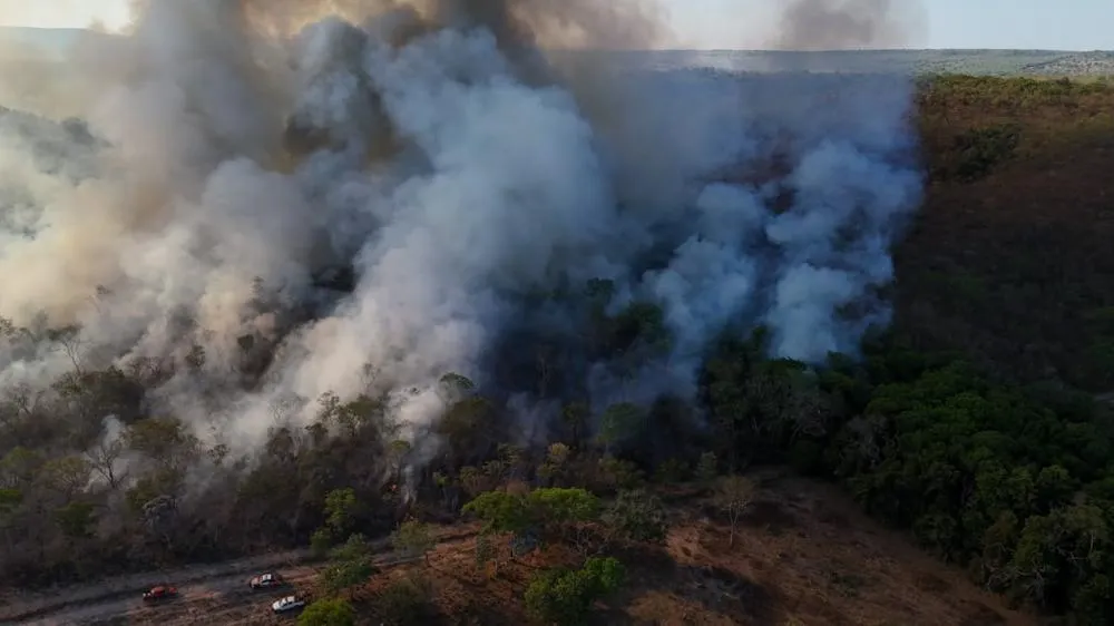 Defesa Civil atua em incêndio de grandes proporções em região de serra na zona rural de Palmas