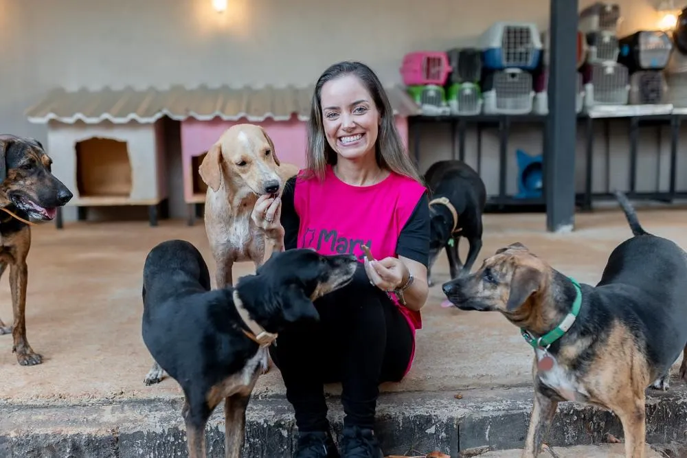 MaryCats participa de evento de adoção neste sábado e destaca parceria com clínicas veterinárias