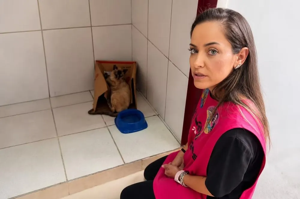 MaryCats resgata gato ferido durante incêndio em lote e alerta para os riscos das queimadas